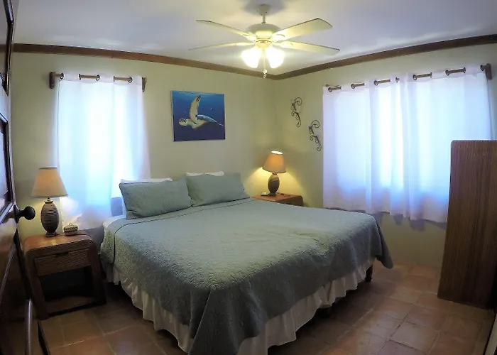 Hotel Tradewinds Paradise
